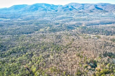 19.44 Mt McGurder Rd, Ellijay, GA 30536 - photo 6