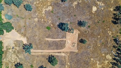DJI_0894