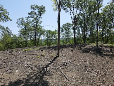 0 Denio Rd unit 5059215, Barnet, VT 05819 - photo 5