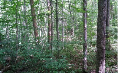 Additional View