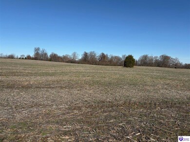 245 Owl Creek Dr, Vine Grove, KY 40175 - photo 4