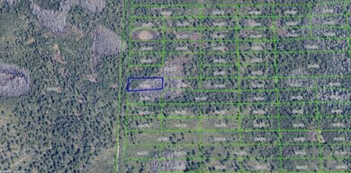 2307 Dill Rd, Bithlo, FL 32820 - photo 7