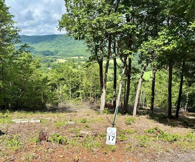 17 Buckhead Hills, Hiawassee, GA 30546 - photo 7