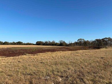 000 Fm 1653, Ben Wheeler, TX 75754 - photo 6