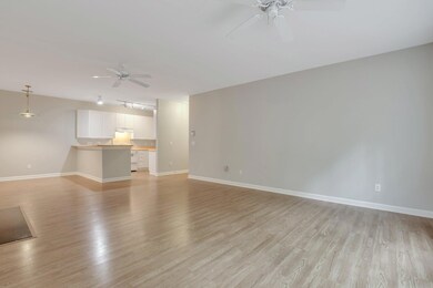 18-web-or-mls-184A7884