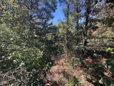 4915 Farm To Market 227, Grapeland, TX 75844 - photo 7