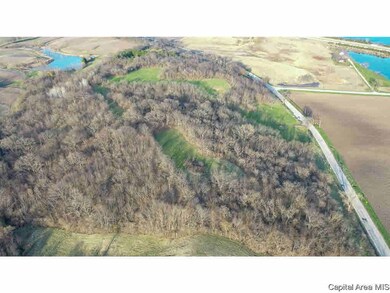 28705 Route 2 N, Hillsdale, IL 61257 - photo 4