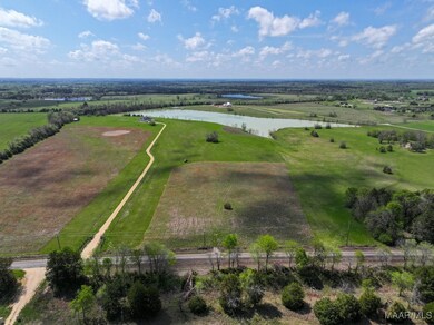 1 Mathews Rd, Mathews, AL 36013 - photo 6