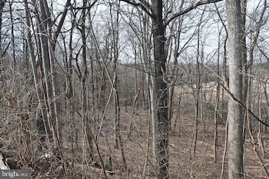 408 Delaware Ave, Elkton, MD 21921 - photo 5