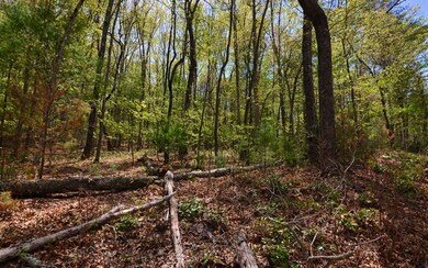 Additional View
