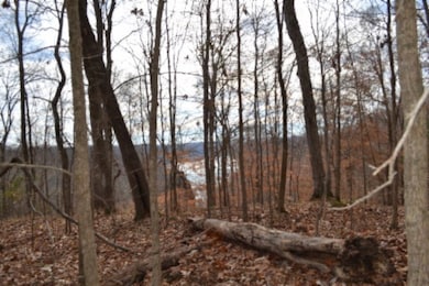 34.15ac Frogue Rd, Burkesville, KY 42717 - photo 5