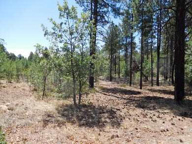 6283 Juniper Ridge Rd, Show Low, AZ 85901 - photo 3