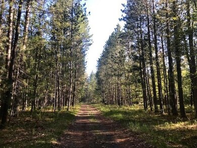 thumbnail_IMG_6106