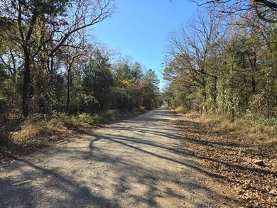 26000 Bokoshe Mountain Ln, Bokoshe, OK 74930 - photo 5