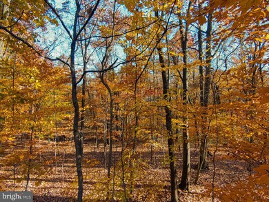 0 Goaway Road #1, Hedgesville, WV 25427 - photo 6