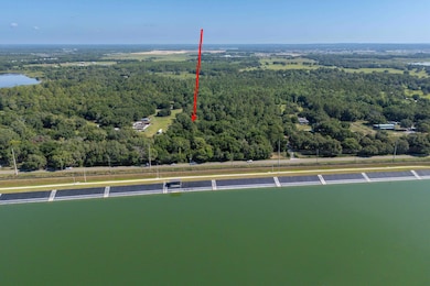 30647 Elam Rd, Wesley Chapel, FL 33545 - photo 2