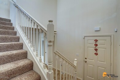Freshly Cleaned Carpets