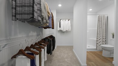 Primary Closet