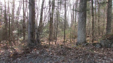 0 N Littleton Rd unit 4859009, Littleton, NH 03561 - photo 4