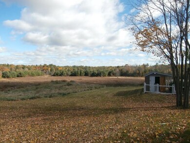 looking at the back field from patio...