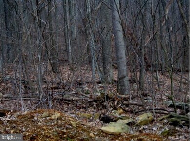 25 Mosby Spring Rd, Linden, VA 22642 - photo 3