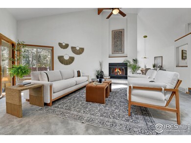 3885 Birchwood Dr, Boulder, CO 80304 - photo 4