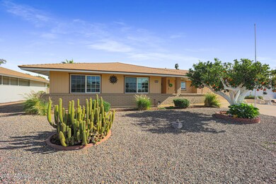 9821 N 103rd Ave, Sun City, AZ 85351 - photo 5