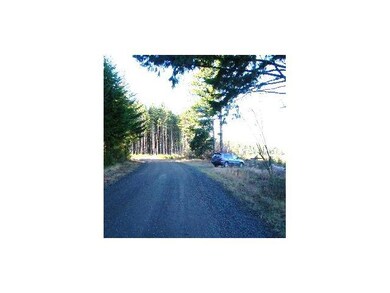 23495 Gooseneck Rd, Sheridan, OR 97378 - photo 7