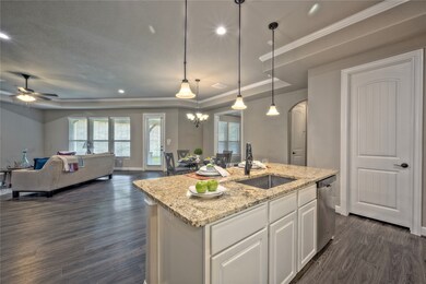 Island Kitchen open to the Family Room and Dining Room.