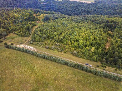 DJI_0003TR