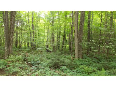 90 Acres Krnstead Rd, Mellen, WI 54546 - photo 6