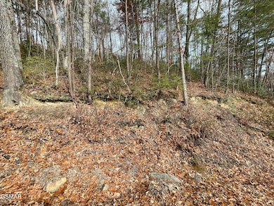 Lot 37R Sugar Mountain Way, Pigeon Forge, TN 37863 - photo 2