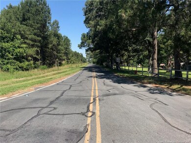 TBD Crenshaw Rd, Lumber Bridge, NC 28357 - photo 4