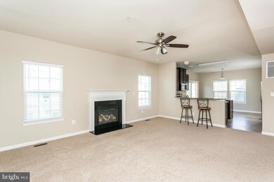 5004 Summer Solstice Place, Ellicott City, MD 21043 - photo 5