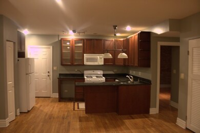 6301 N Richmond St unit 1, Chicago, IL 60659 - photo 7