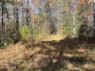 523 Honey Creek Loop Rd, Allardt, TN 38504 - photo 5