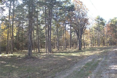 0 4540 Rd unit 1306170, Ozone, AR 72854 - photo 4