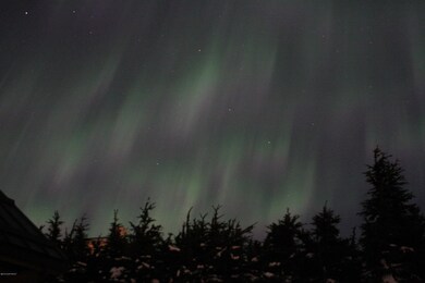 northern lights (19)