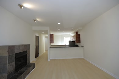 1223 E 52nd St unit 1, Chicago, IL 60615 - photo 4