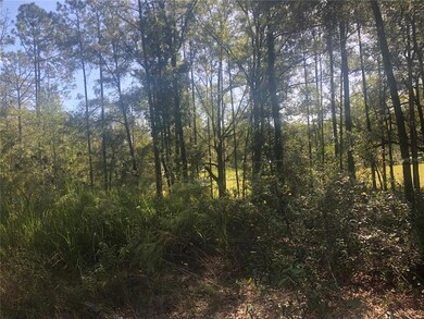 9183 SW 193rd Cir, Dunnellon, FL 34432 - photo 3