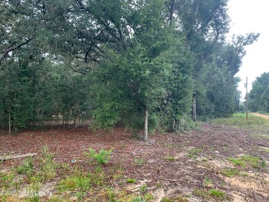 0250 Lenore Ave, Interlachen, FL 32148 - photo 5