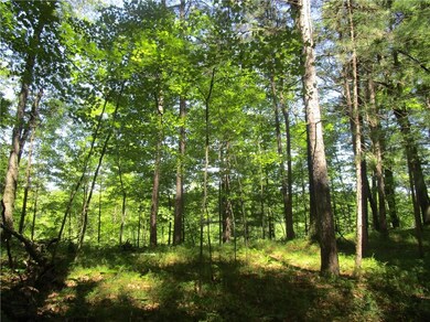 5569 Gaslyn Rd, Webster, WI 54893 - photo 5