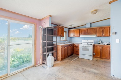 6300 Rutledge Rd, Alger, MI 48610 - photo 5