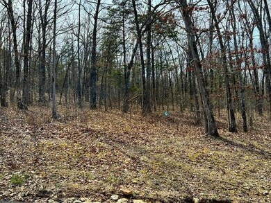 Woods View