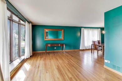 858 Academy Ave, Matteson, IL 60443 - photo 3