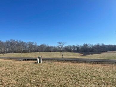 Lots 84-86 Meadows Loop, Russell Springs, KY 42642 - photo 7