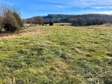 231 Highway 1003, Somerset, KY 42501 - photo 7