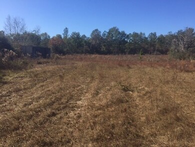 108 Tobacco Sink Rd, Crawfordville, FL 32327 - photo 3