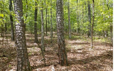 L 62 Quin Springs, Ellijay, GA 30540 - photo 2