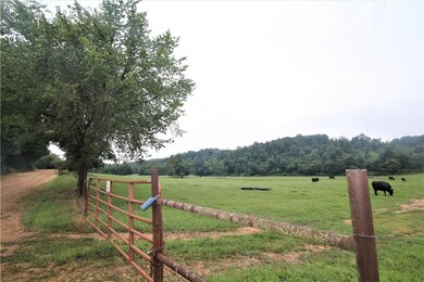 52.36 Acres Butler Rd, Siloam Springs, AR 72761 - photo 4